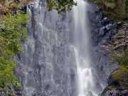 Ё[񂳂̉̍gt̓eʐ^2