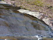 Ё[񂳂̉̍gt̓eʐ^4