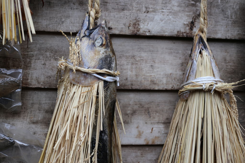 西伊豆町 賀茂郡 の特産物 味覚 ランキングtop1 じゃらんnet