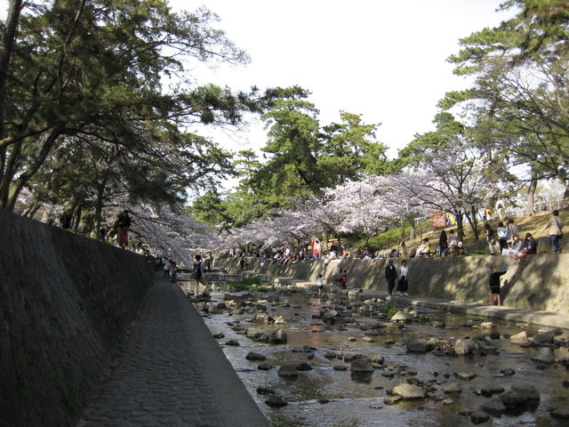 �g��͐�~�Βn�i�g������j