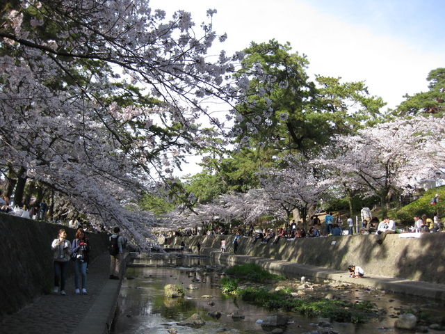 �g��͐�~�Βn�i�g������j