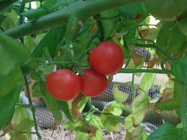 �ꏊ�ɂ���ĊÂ�������Z��������_����ό��_��