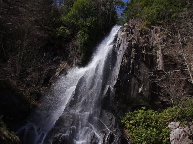 ahasegawâ炬X̓eʐ^1