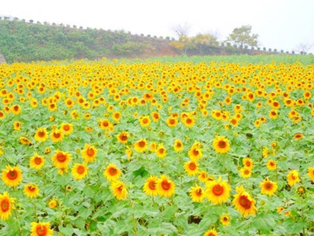 �ό��_���ԂЂ��