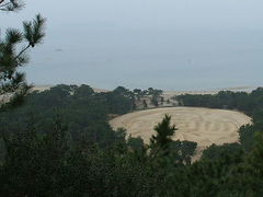 TKS̑K`Guiʕvւ̓eʐ^1