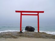 肿񂳂̂ԂĉY̓eʐ^1