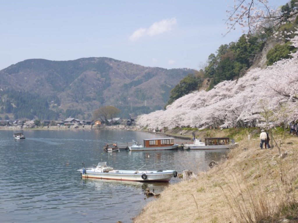海津大崎