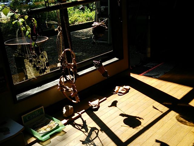 Ƃ񂿂񂳂̉HE|p̐X@A[gM[̓eʐ^1