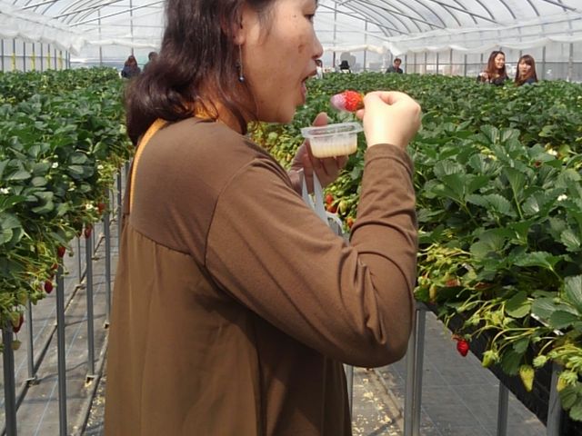 �����ς��C�`�S�H�ׂ܂����B_���[��������