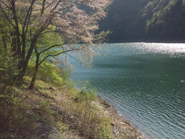 5���ł����ǻ�ׂ��炢�Ă��܂���_�H�_�����r