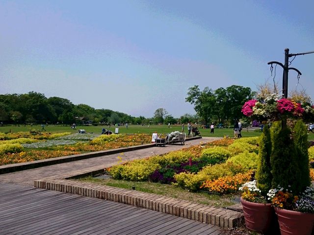 �t�����[�p�[�N�]��