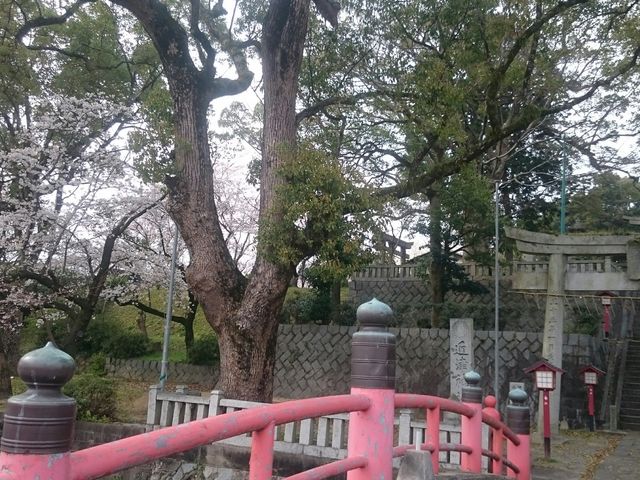 �K�i���̂ڂ�Ƃ�������̍����L���C�ł�_��ږ�i�Ƃ�́j�n��E���n��