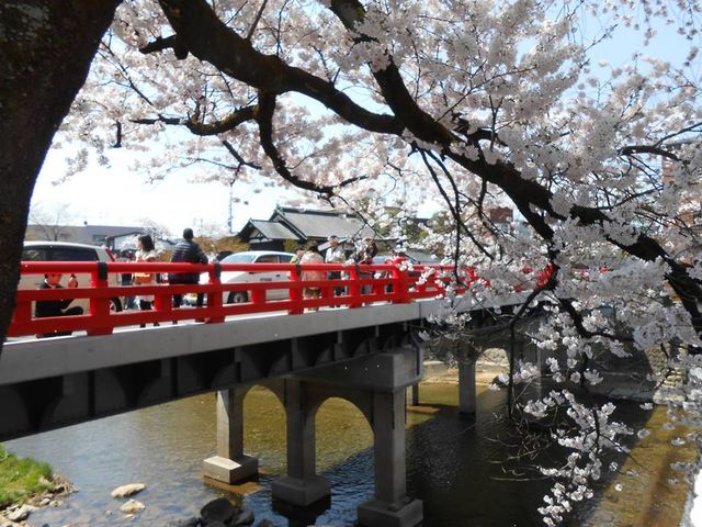 �Ԃ����i�����j�Ɩ��J�̍��I_���R�s�O���`���I�������Q�ۑ��n��