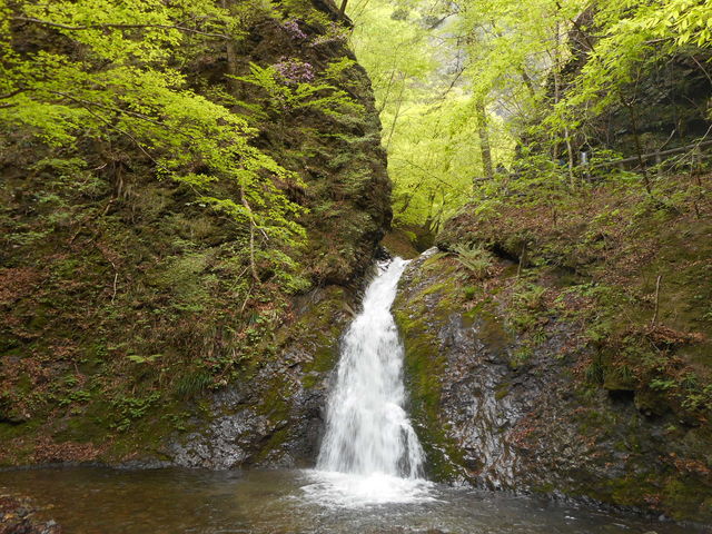 ����ƃY�|������_�����̑�