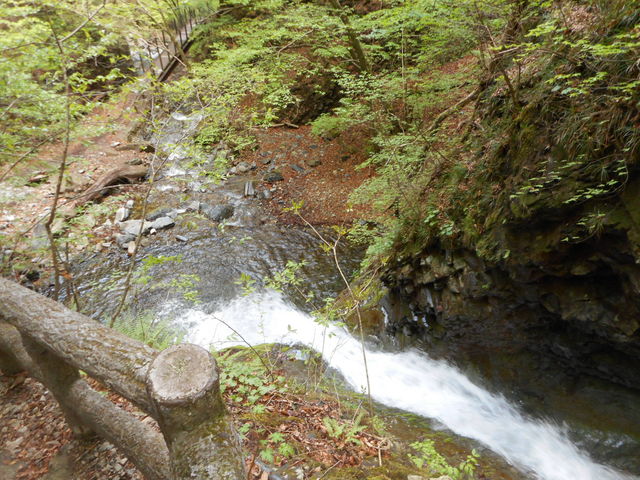 �ォ��B��܂���_�����̑�