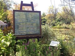 pekõK[f~[WAbւ̓eʐ^1