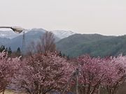 yko̓Rp[NhIAVXفycƋx~z̓eʐ^2