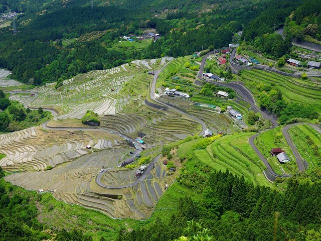 炢o肫ɂ͂̐i҂Ă܂B_FÓ