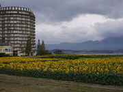 sklfh̑PȂ q}̓eʐ^1