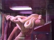 Ȃ̍ÁiV_j֎ق̓eʐ^1