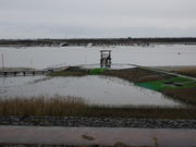 sklfh̊CVӂꂠp[N̓eʐ^1