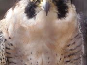 肳̋vĎsރZ^[̓eʐ^1