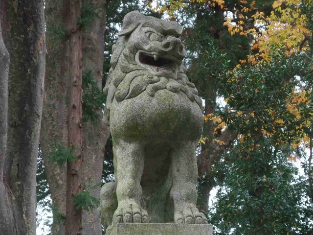 ����_�����ʐ_��