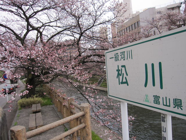 񂳂̈镔Eׂ̍̓eʐ^1