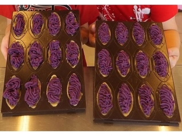 �Ă��Ă��炤�O�̍g�����^���g�ł��B_��َq��a�@���[�X