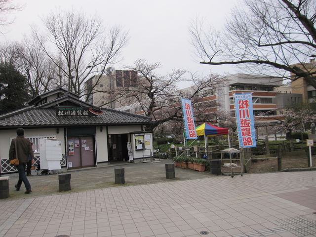 2016�N3�����B�e�j�u����V���D�v_����V���D