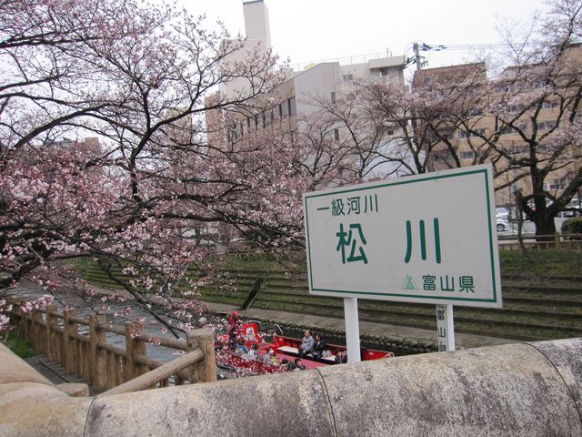 2016�N3�����B�e�j�u����V���D�v_����V���D