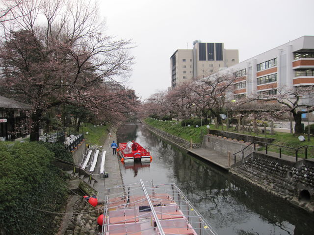 2016�N3�����B�e�j�u����V���D�v_����V���D