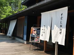 ܂̌y򐯖GA@njeXւ̓eʐ^1