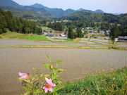 肳̖kܕS̒Ic̓eʐ^1