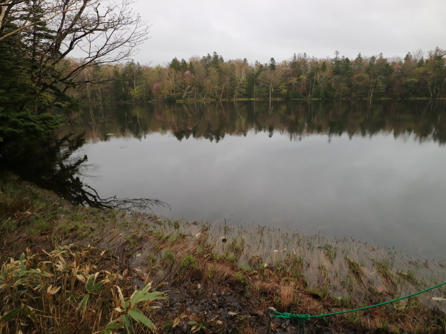 �����炢�Ă��܂���_�m���I�v�V���i���c�A�[�YSOT!