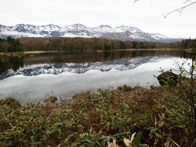 ���̏u�Ԃ����m���A�R���݂邱�Ƃ��ł��܂����B_�m���I�v�V���i���c�A�[�YSOT!