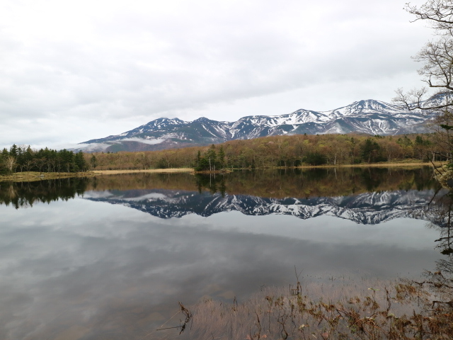 �������m���A�R_�m���I�v�V���i���c�A�[�YSOT!