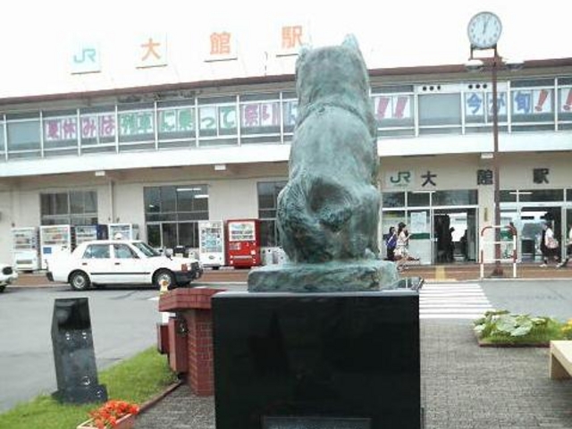 ܂wĎl҂Ă|[YłB_Hc̗@n`