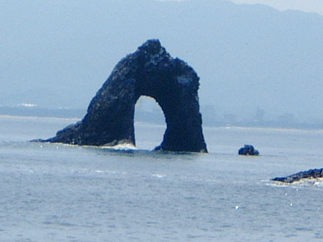 Ԃ񂳂̕@Ii߂ˊj̓eʐ^4