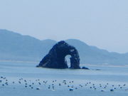 Ԃ񂳂̕@Ii߂ˊj̓eʐ^3