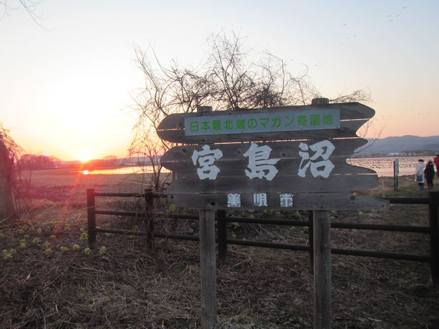 ������_�{����