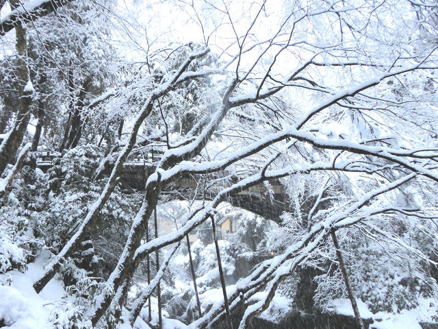 �Ⴊ�������ł����A�����猩�������났���ł��B_�R������