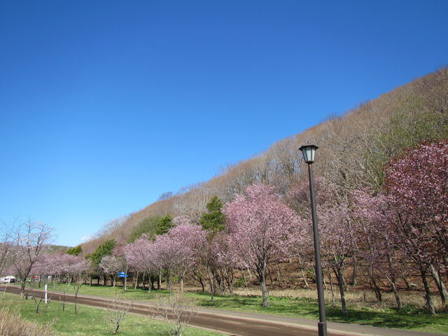 �����Y�̒r�܂ő���������_�΃��u����