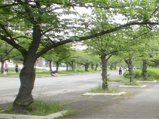 ���؂̑�������_�єn���V�{����