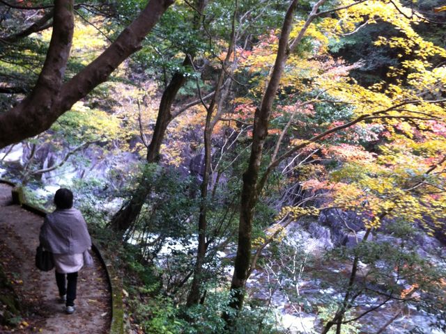 �V����_���ʖ����@�O�i���̍g�t