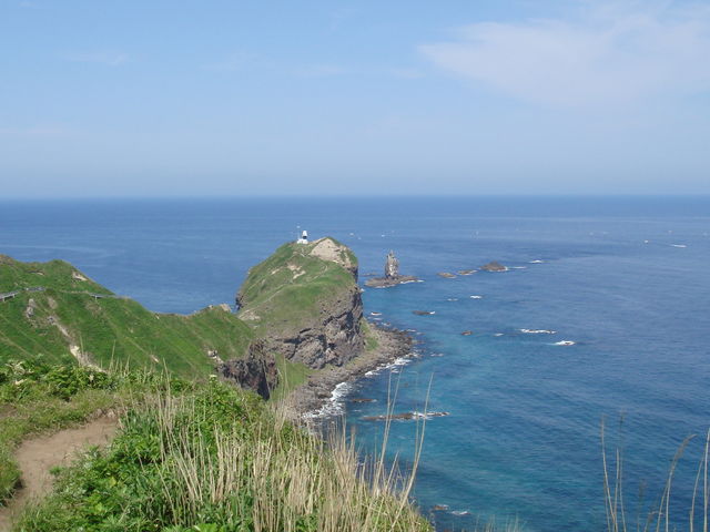 ���ԏ�߂��̓W�]�X�|�b�g���_�ϒO��