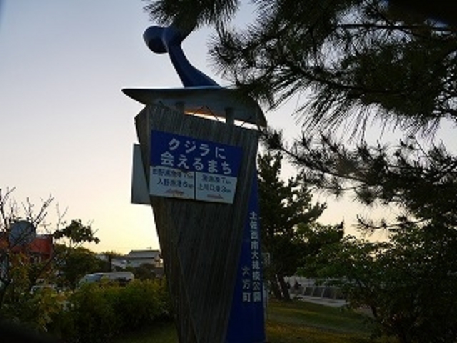 高知県・幡多郡・黒潮町・土佐西南大規模公園・ビオスおおがた_土佐西南大規模公園(佐賀地区)