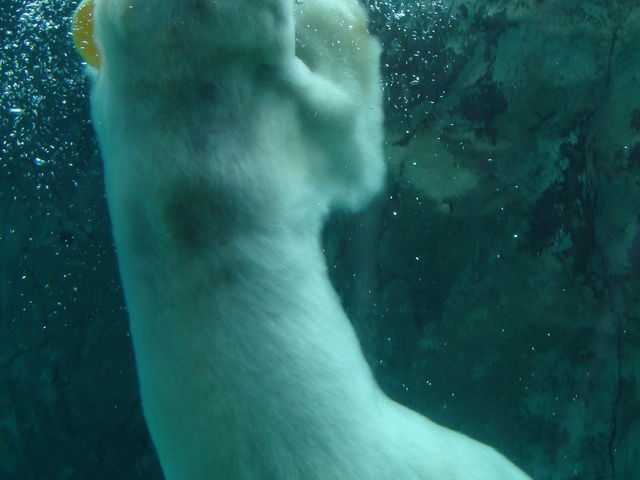 �X�|���W��D��_���R������