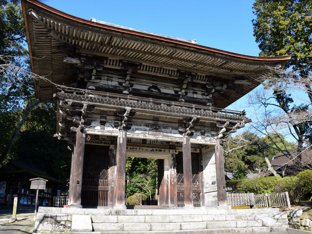 �R��_�O�䎛�i���鎛�j