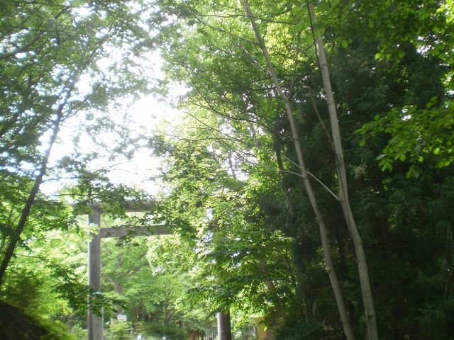 �_�Ђɑ����K�i_�~�R����